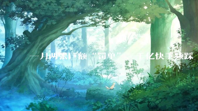 一月两张巨额“罚单”，千亿快手频踩“红线”？_直播_平台_处置